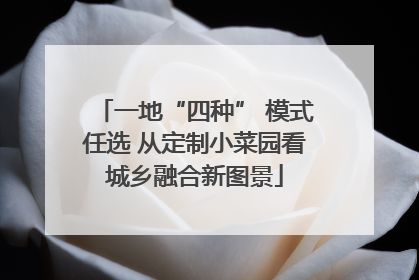 一地“四种” 模式任选 从定制小菜园看城乡融合新图景